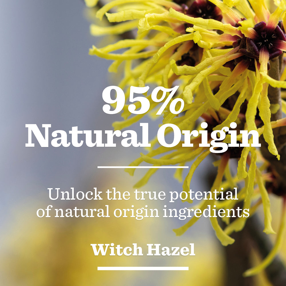Close-up of yellow witch hazel flowers with white text stating 95% Natural Origin. Unlock the true potential of natural origin ingredients—ideal for oil-prone skin. Oil Control Moisturiser with Witch Hazel.